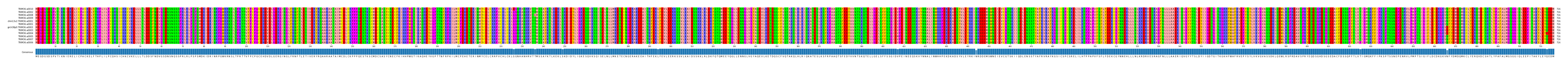 Multiple Alignments (by translate haplotype similarity)