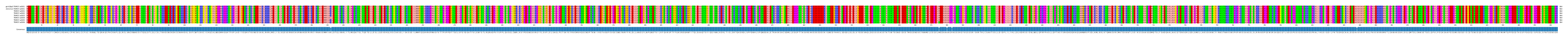 Multiple Alignments (by translate haplotype frequency)