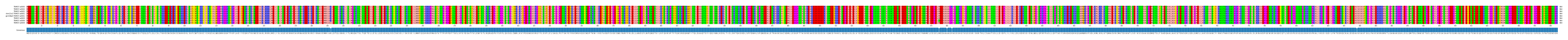 Multiple Alignments (by translate haplotype similarity)