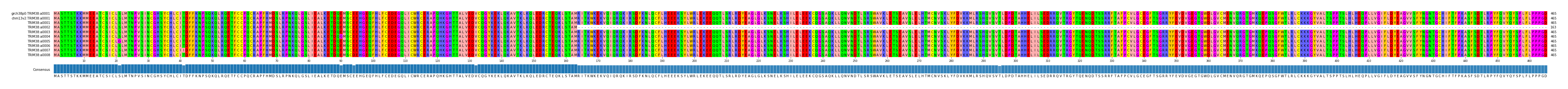 Multiple Alignments (by translate haplotype frequency)