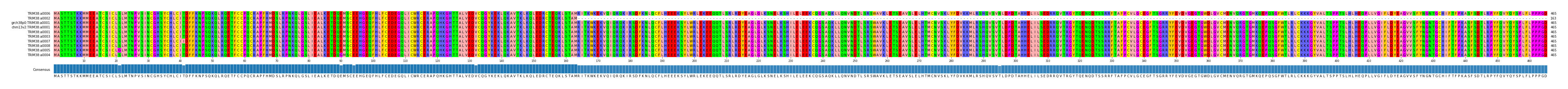 Multiple Alignments (by translate haplotype similarity)