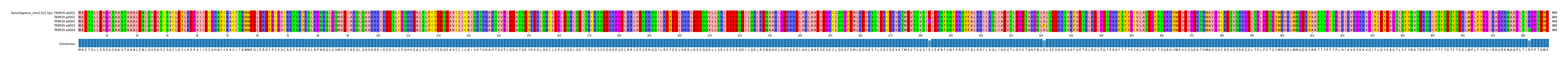 Multiple Alignments (by translate haplotype frequency)