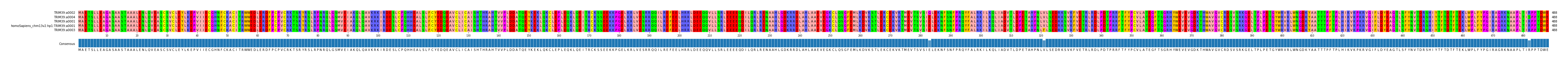 Multiple Alignments (by translate haplotype similarity)