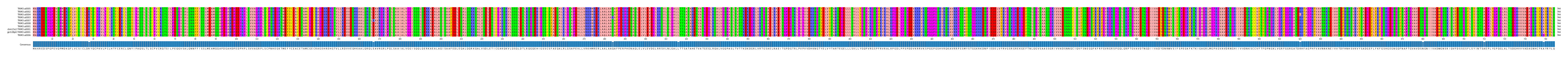 Multiple Alignments (by translate haplotype similarity)