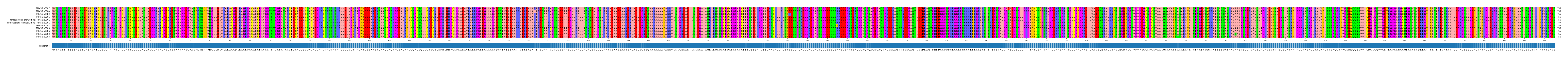 Multiple Alignments (by translate haplotype similarity)