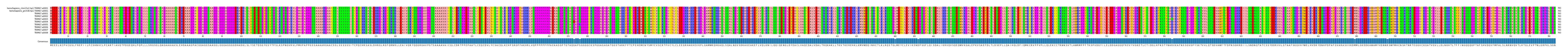 Multiple Alignments (by translate haplotype frequency)