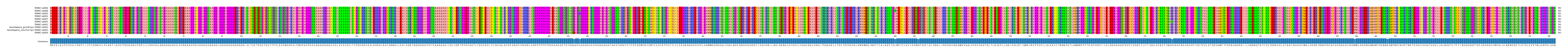 Multiple Alignments (by translate haplotype similarity)