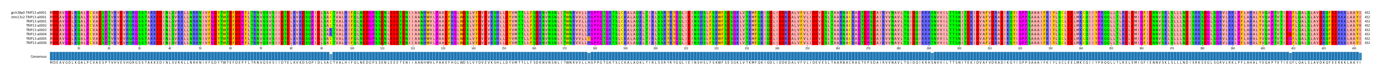 Multiple Alignments (by translate haplotype frequency)