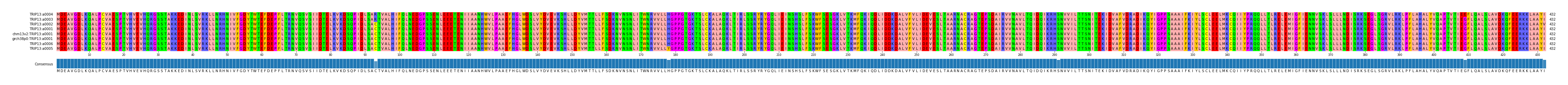 Multiple Alignments (by translate haplotype similarity)