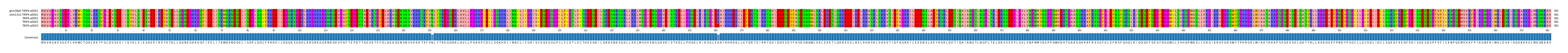 Multiple Alignments (by translate haplotype frequency)