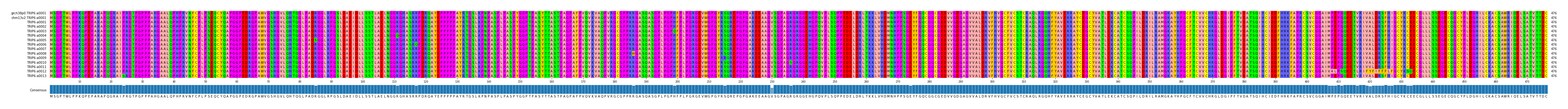Multiple Alignments (by translate haplotype frequency)
