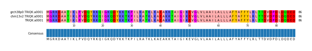 Multiple Alignments (by translate haplotype frequency)