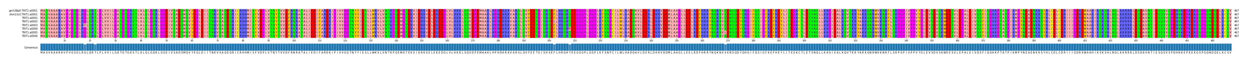 Multiple Alignments (by translate haplotype frequency)