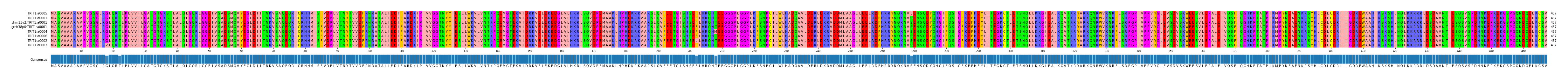 Multiple Alignments (by translate haplotype similarity)