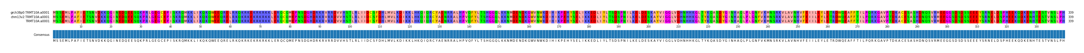 Multiple Alignments (by translate haplotype similarity)
