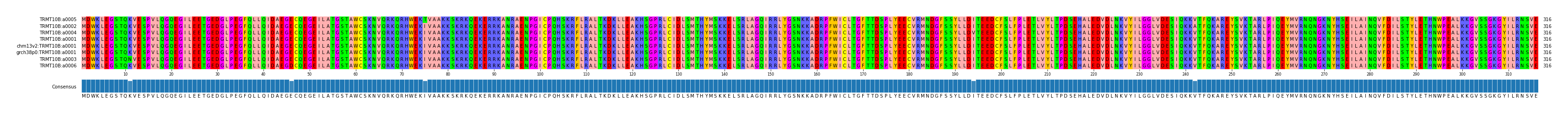 Multiple Alignments (by translate haplotype similarity)