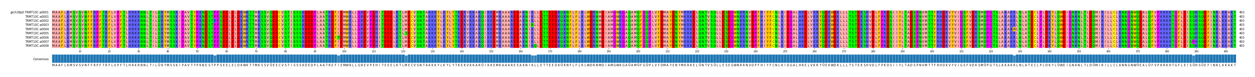 Multiple Alignments (by translate haplotype frequency)