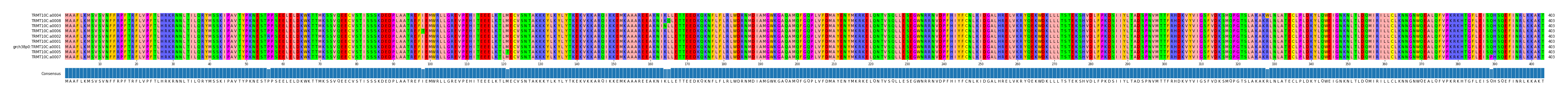Multiple Alignments (by translate haplotype similarity)