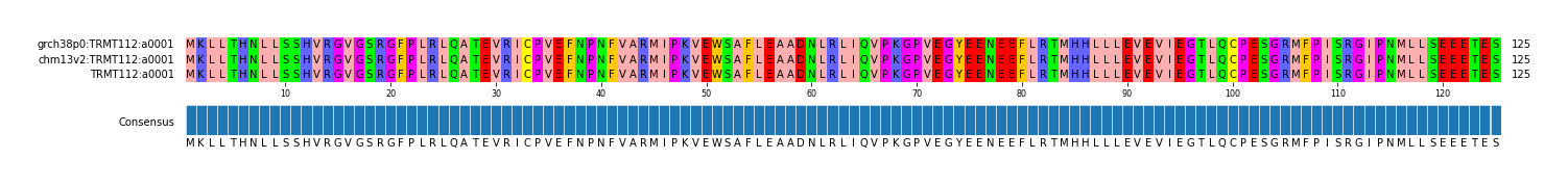 Multiple Alignments (by translate haplotype similarity)