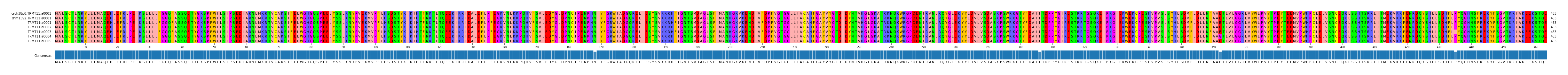 Multiple Alignments (by translate haplotype frequency)
