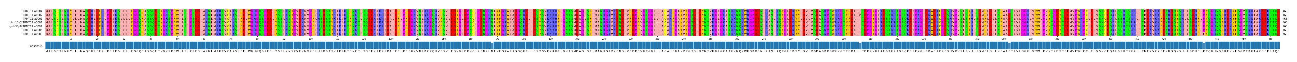 Multiple Alignments (by translate haplotype similarity)