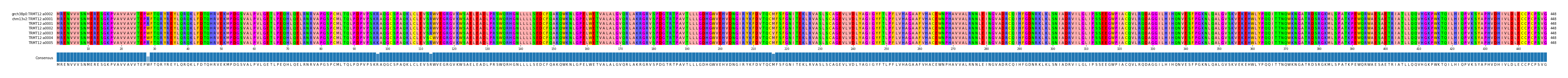 Multiple Alignments (by translate haplotype frequency)