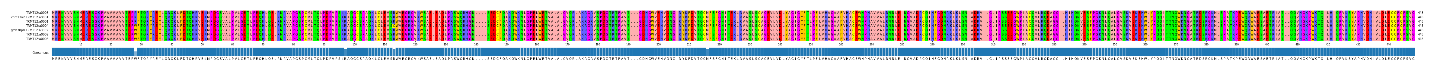 Multiple Alignments (by translate haplotype similarity)