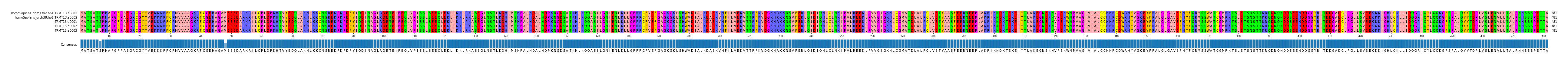 Multiple Alignments (by translate haplotype frequency)