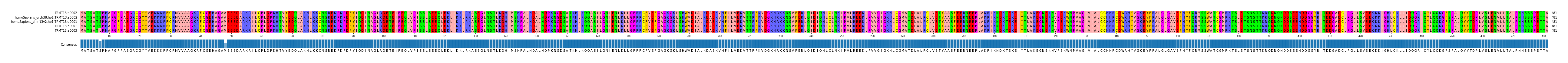 Multiple Alignments (by translate haplotype similarity)