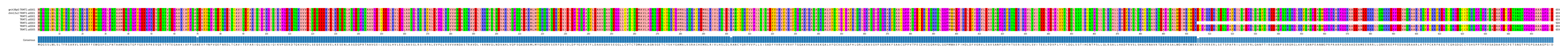 Multiple Alignments (by translate haplotype frequency)
