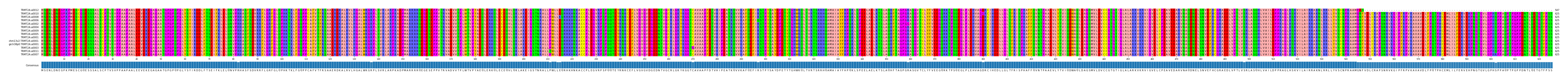 Multiple Alignments (by translate haplotype similarity)