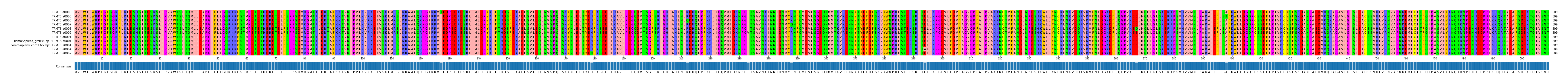 Multiple Alignments (by translate haplotype similarity)