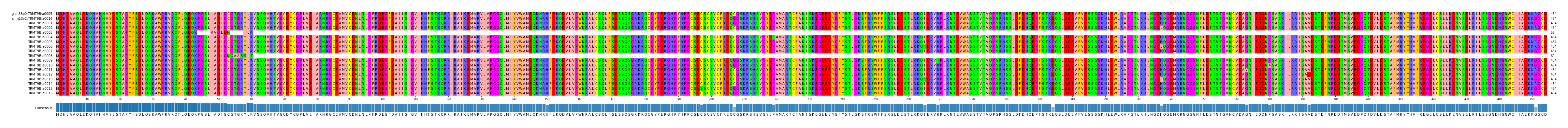 Multiple Alignments (by translate haplotype frequency)