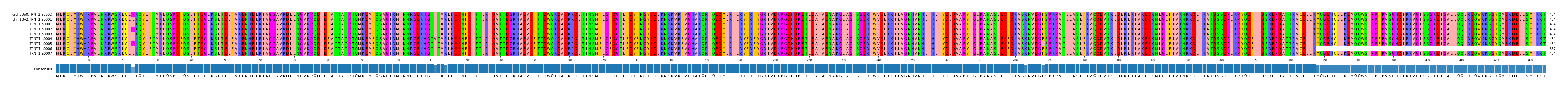Multiple Alignments (by translate haplotype frequency)