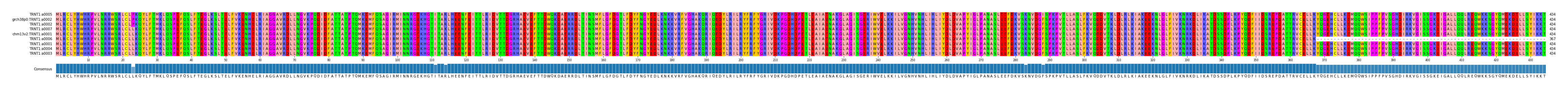 Multiple Alignments (by translate haplotype similarity)