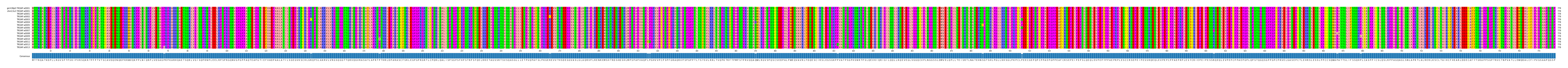 Multiple Alignments (by translate haplotype frequency)