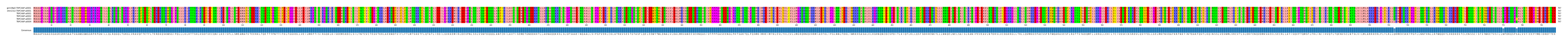 Multiple Alignments (by translate haplotype frequency)
