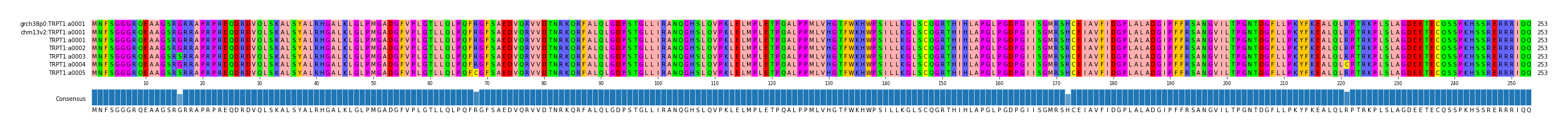 Multiple Alignments (by translate haplotype frequency)