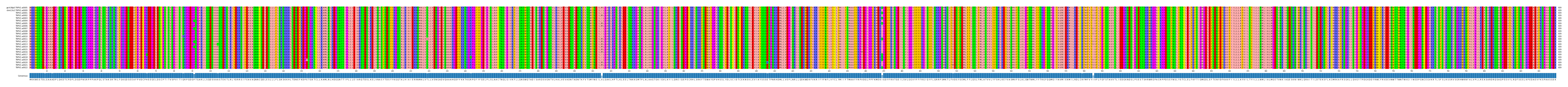 Multiple Alignments (by translate haplotype frequency)