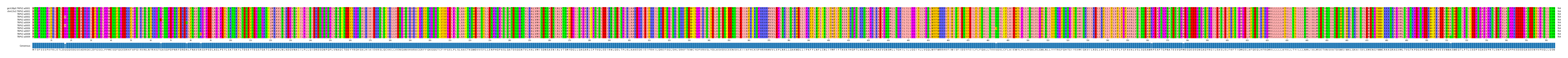 Multiple Alignments (by translate haplotype frequency)