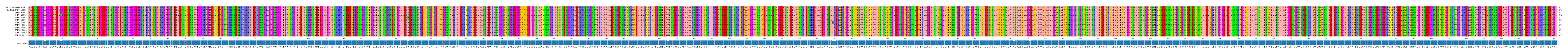Multiple Alignments (by translate haplotype frequency)