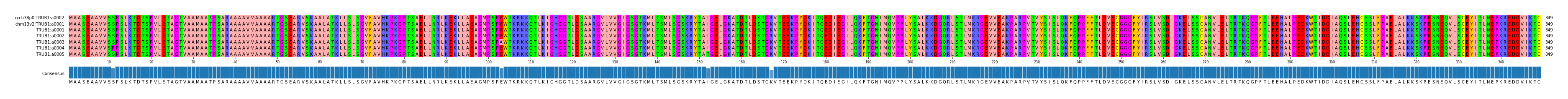 Multiple Alignments (by translate haplotype frequency)