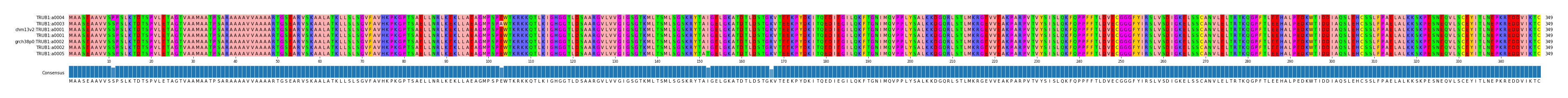 Multiple Alignments (by translate haplotype similarity)