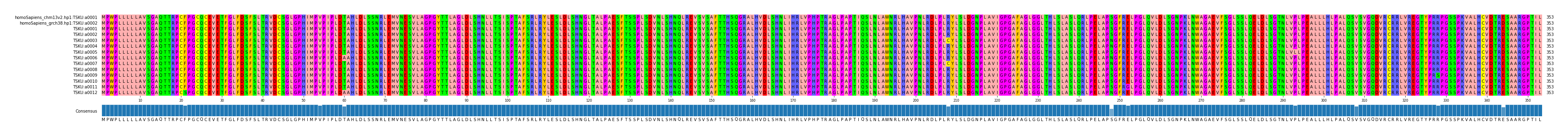 Multiple Alignments (by translate haplotype frequency)