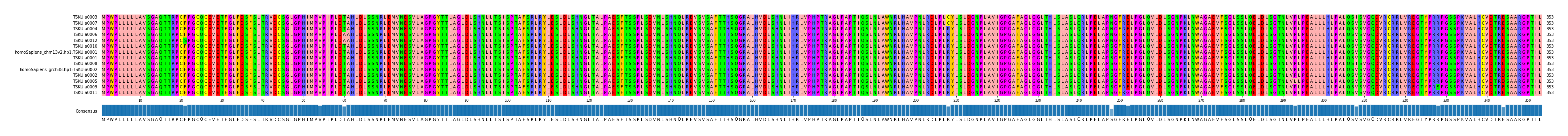 Multiple Alignments (by translate haplotype similarity)