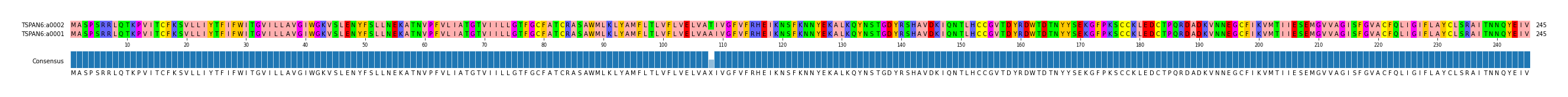 Multiple Alignments (by translate haplotype similarity)