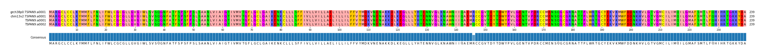 Multiple Alignments (by translate haplotype similarity)