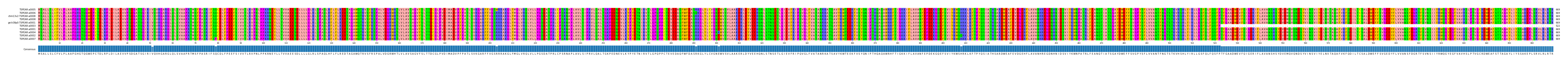Multiple Alignments (by translate haplotype similarity)