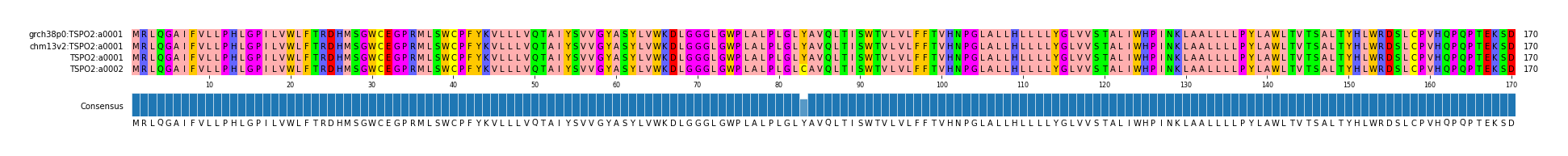 Multiple Alignments (by translate haplotype similarity)