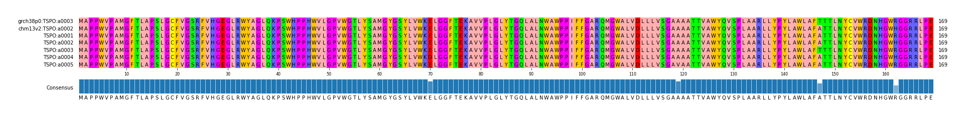 Multiple Alignments (by translate haplotype frequency)